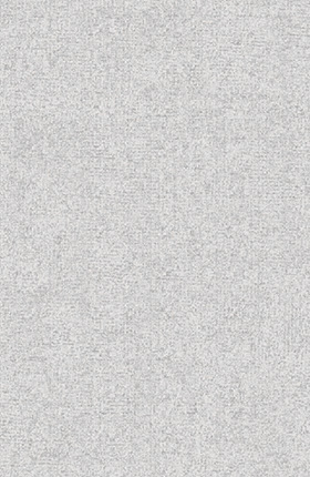 MIRAGE-MG11301